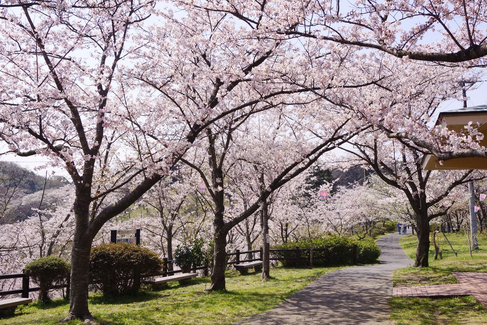 塚山公園の画像 - 4枚目