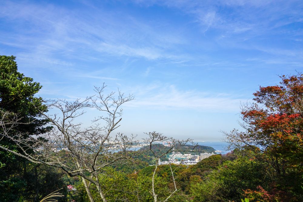 塚山公園の画像 - 5枚目