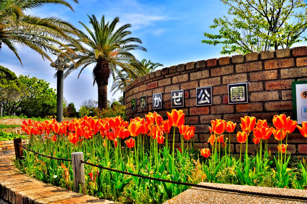 うみかぜ公園の画像 - 5枚目