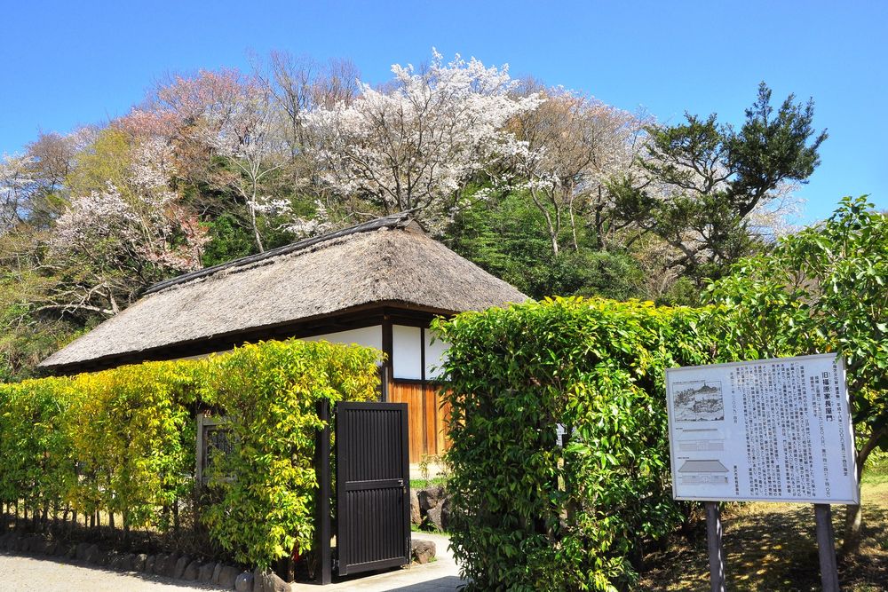 新林公園の画像 - 4枚目
