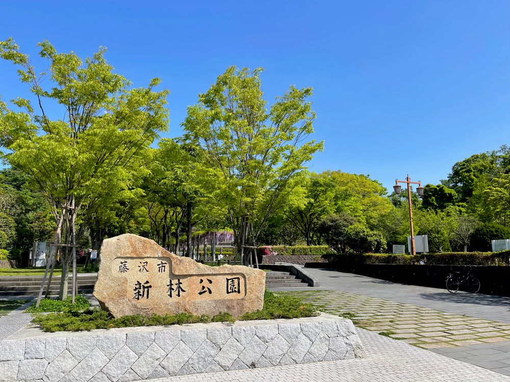 新林公園