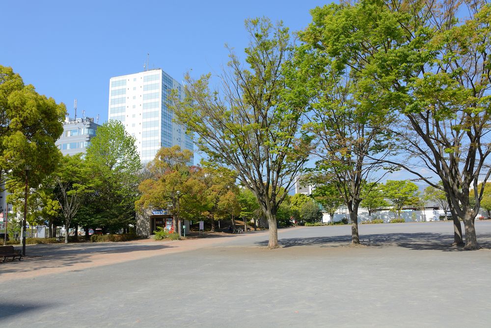 厚木中央公園の画像 - 3枚目