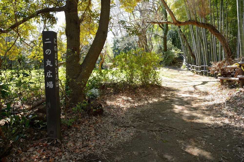 小机城址市民の森の画像 - 2枚目