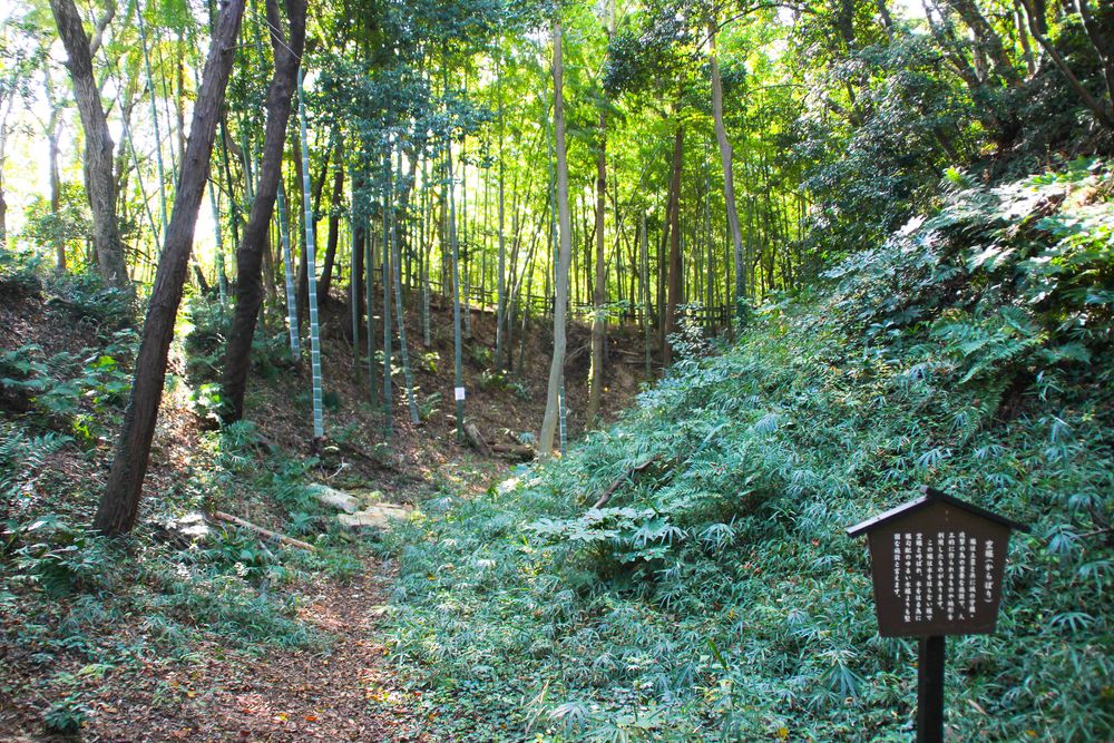 小机城址市民の森の画像 - 3枚目