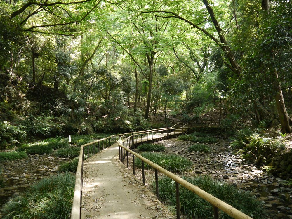 道保川公園の画像 - 2枚目