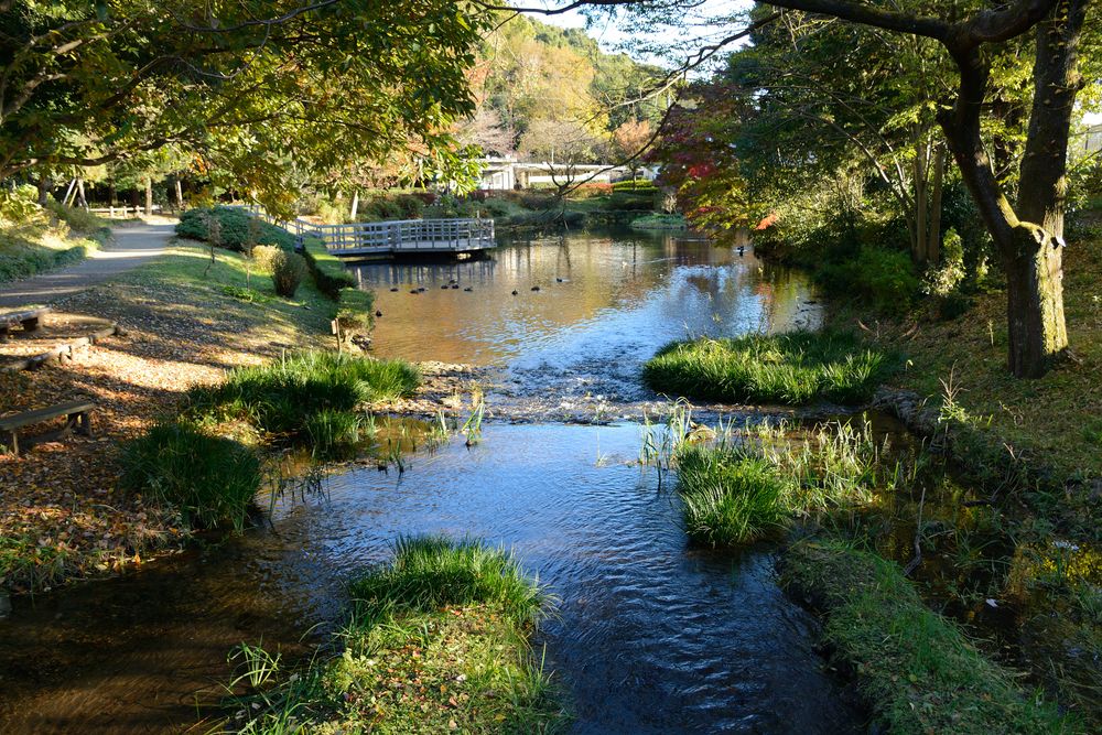 道保川公園の画像 - 3枚目