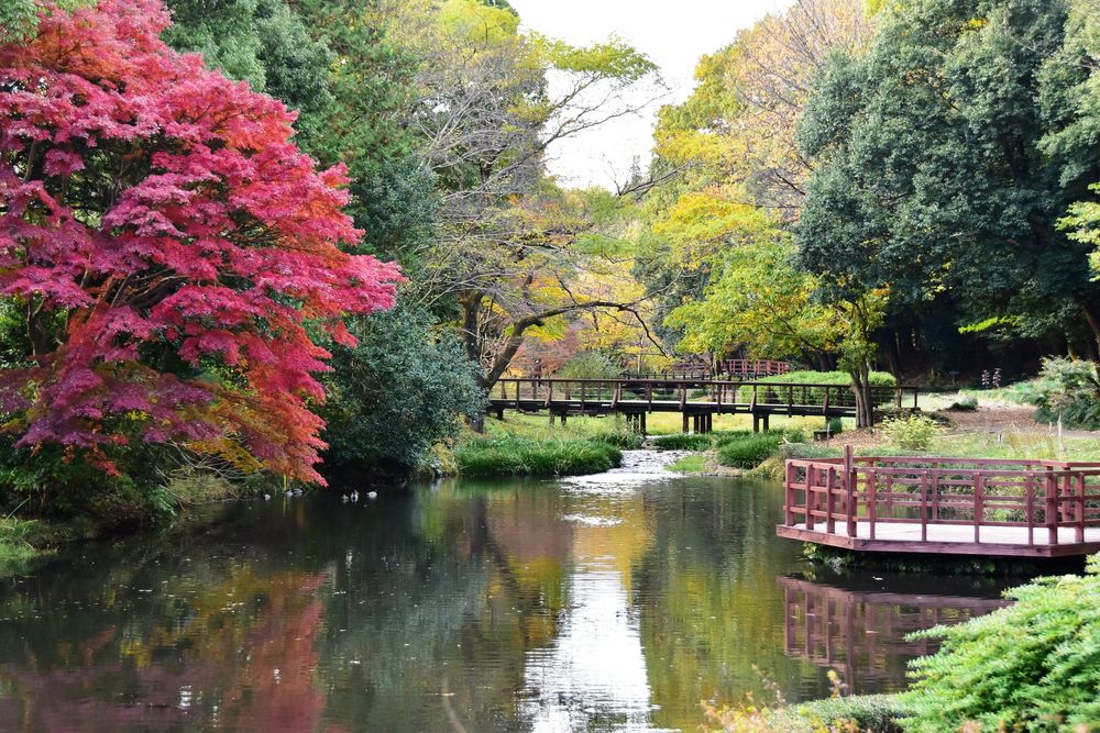 道保川公園の画像 - 5枚目