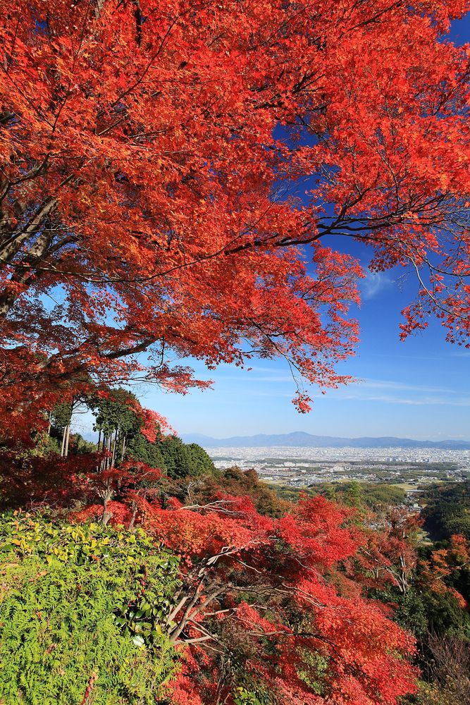 善峯寺の画像 - 4枚目