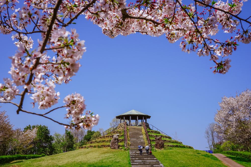 四季の森公園の画像 - 4枚目