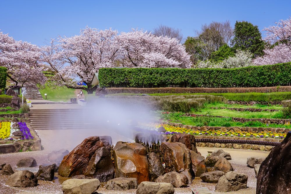 四季の森公園の画像 - 5枚目