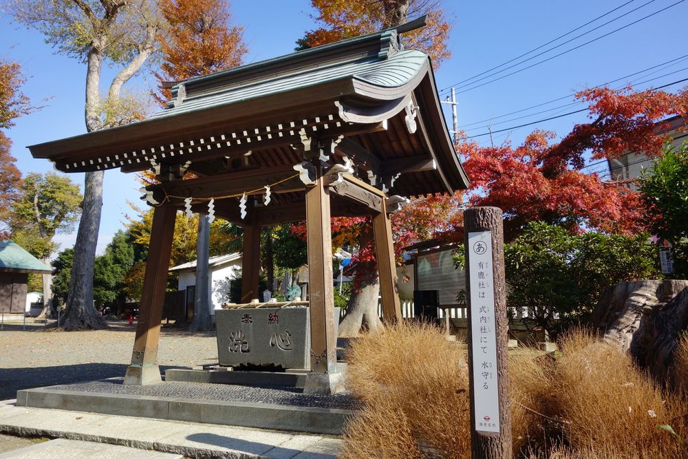 有鹿神社の画像 - 4枚目