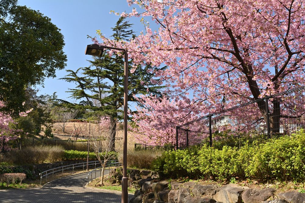 本牧山頂公園の画像 - 2枚目
