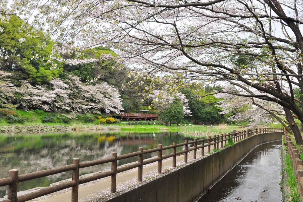 引地台公園の画像 - 3枚目