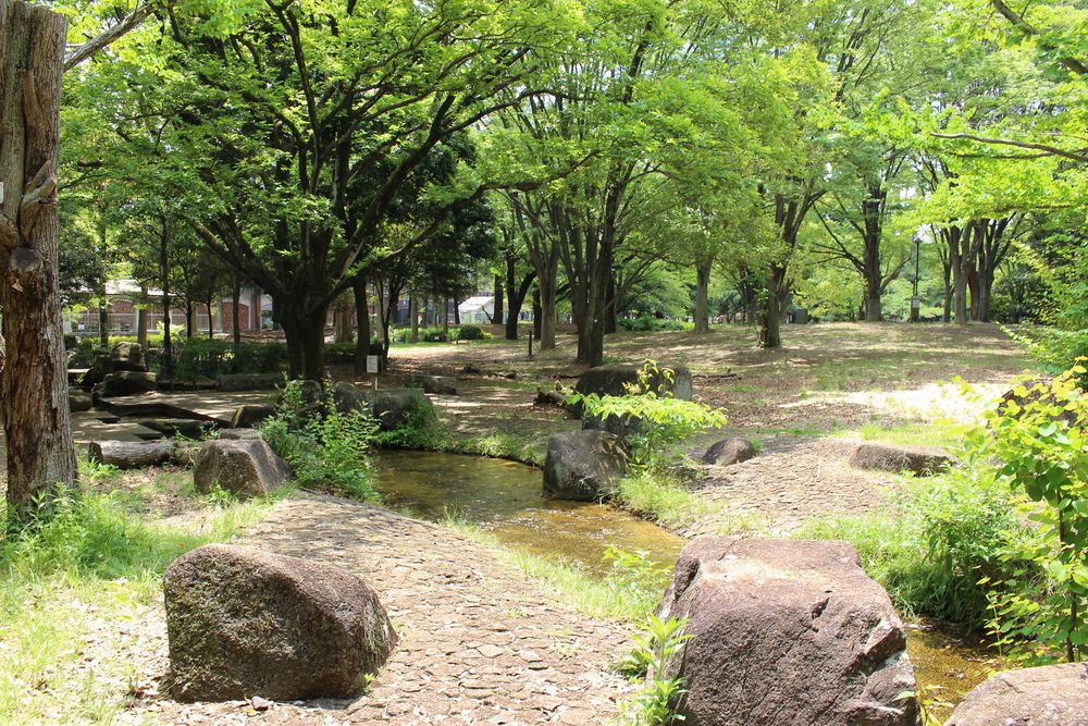 引地台公園の画像 - 4枚目