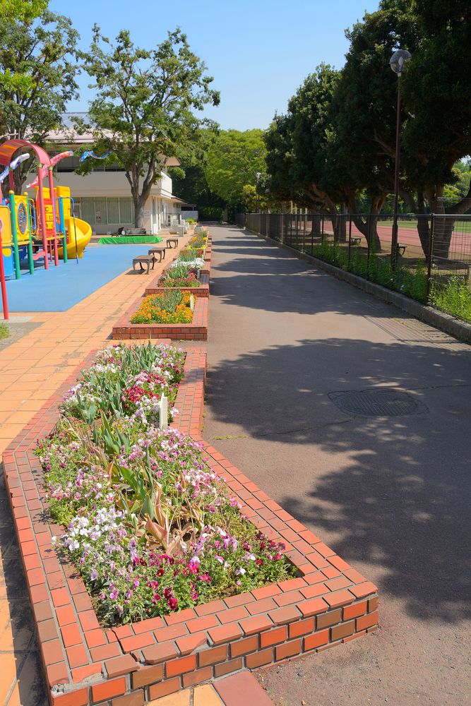 三ツ沢公園の画像 - 3枚目