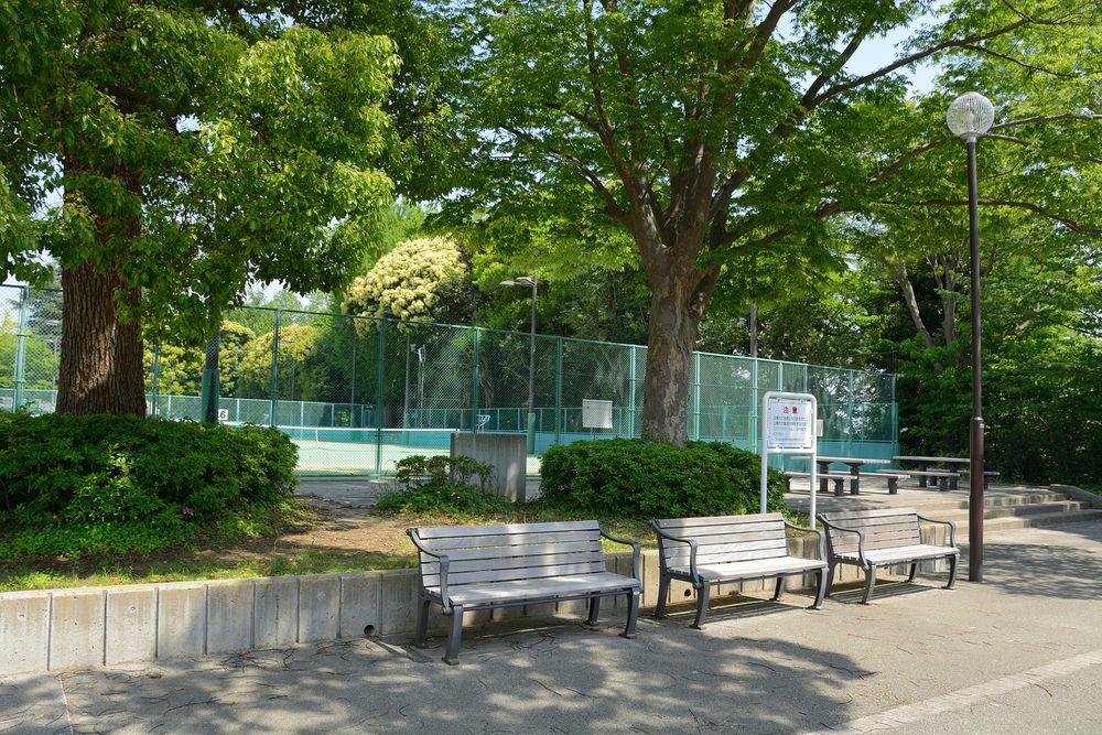 三ツ沢公園の画像 - 5枚目