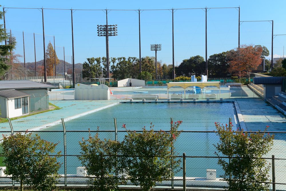 秦野市カルチャーパークの画像 - 4枚目