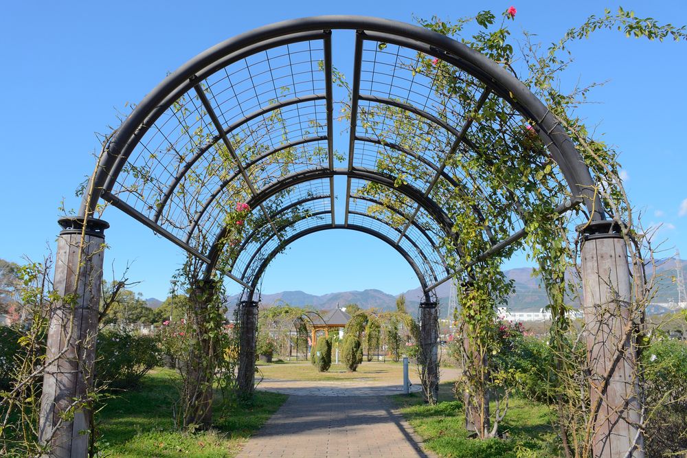 秦野市カルチャーパークの画像 - 5枚目