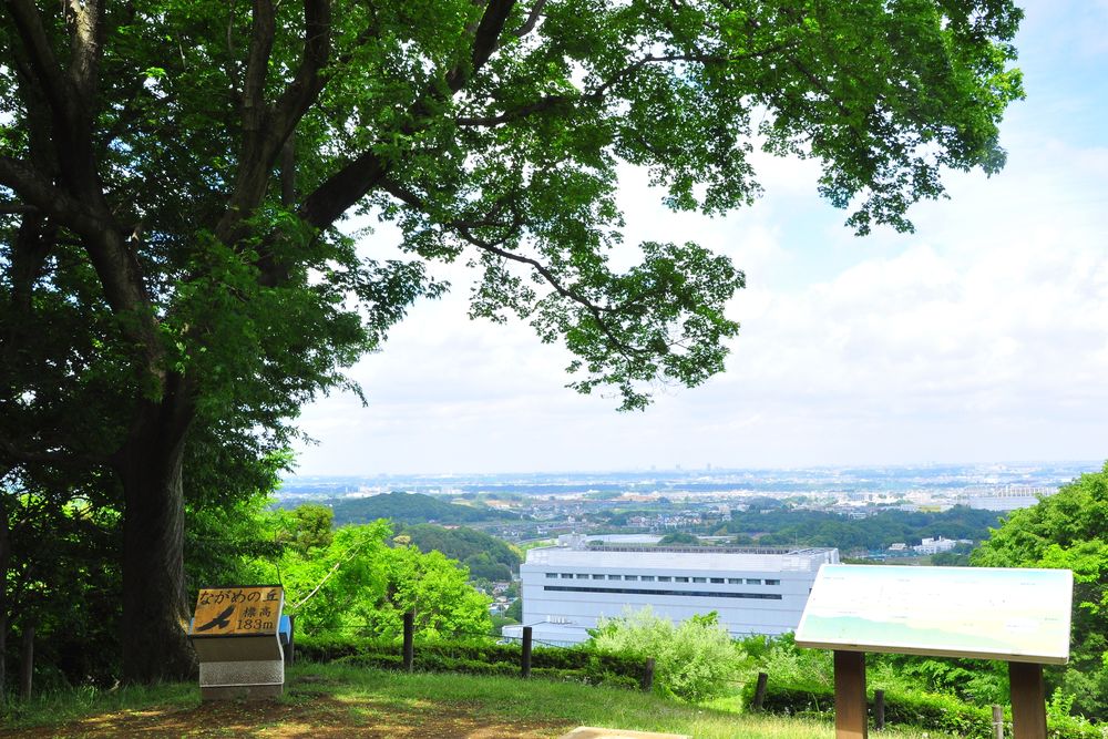 七沢森林公園の画像 - 2枚目