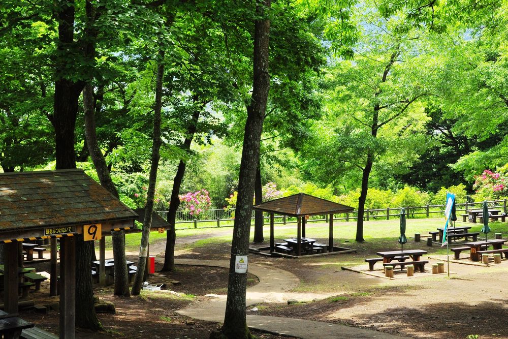 七沢森林公園の画像 - 3枚目