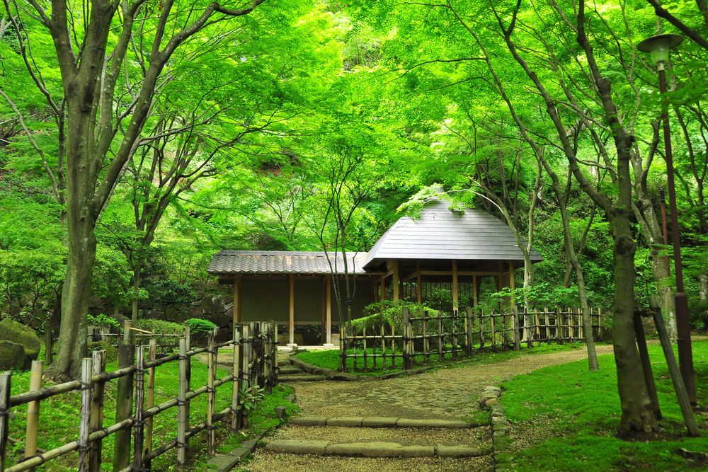 七沢森林公園】の周辺スポット・アクセス・口コミ - Prism Japan