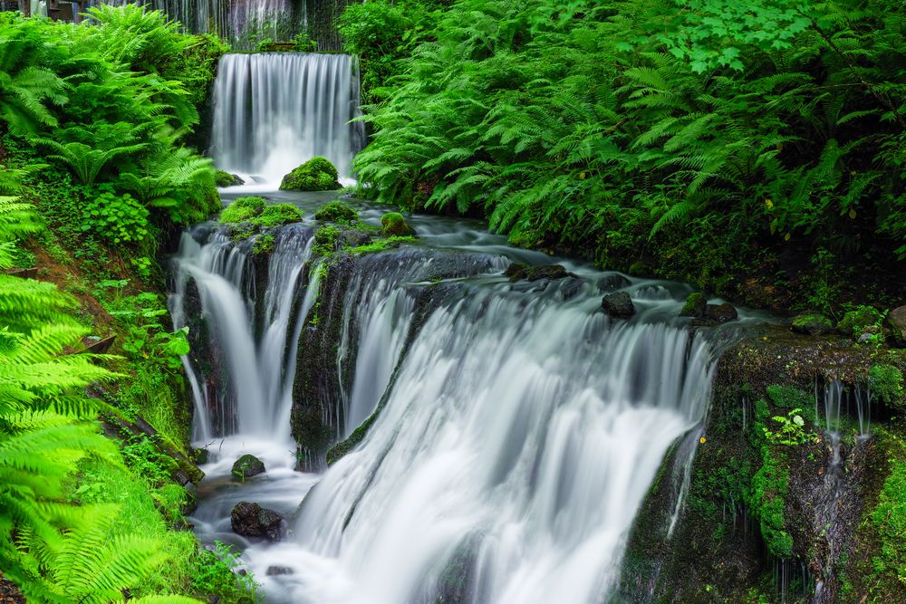 白糸の滝】の周辺スポット・アクセス・口コミ - Prism Japan