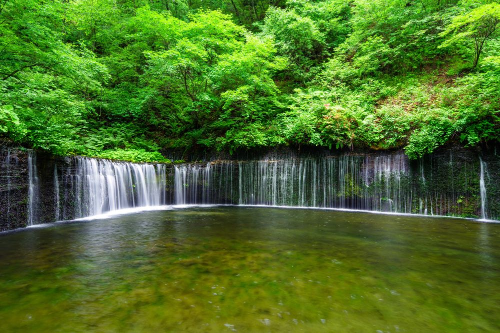 白糸の滝】の周辺スポット・アクセス・口コミ - Prism Japan