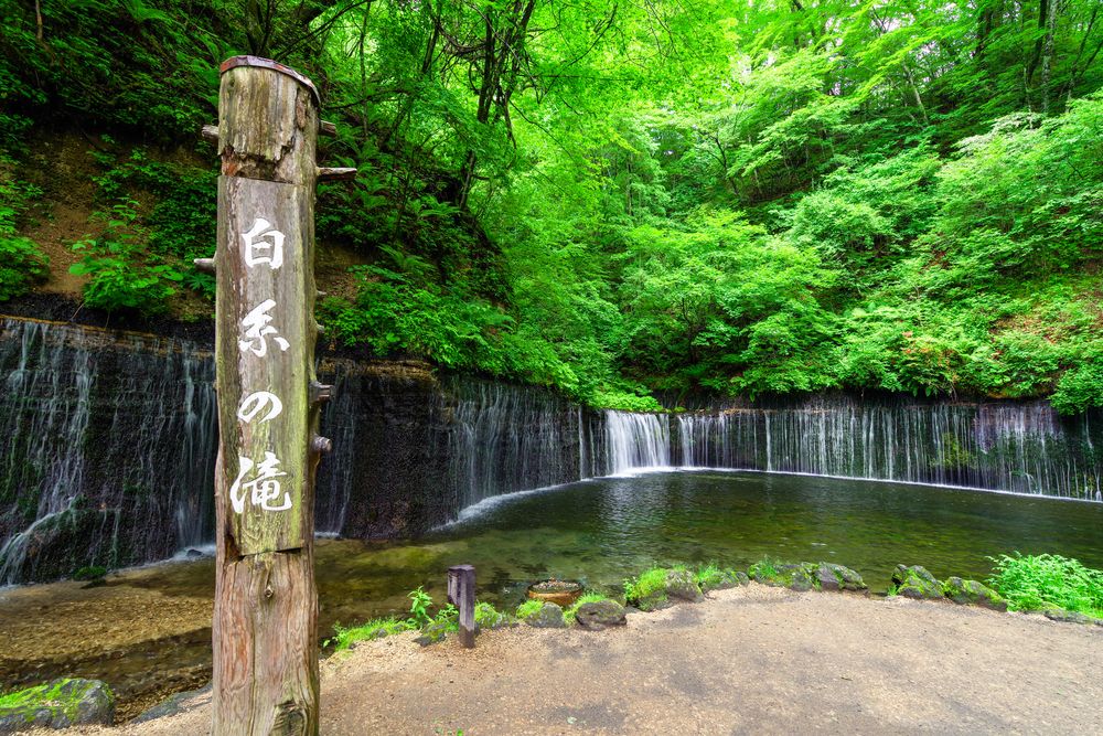 白糸の滝の画像 - 6枚目