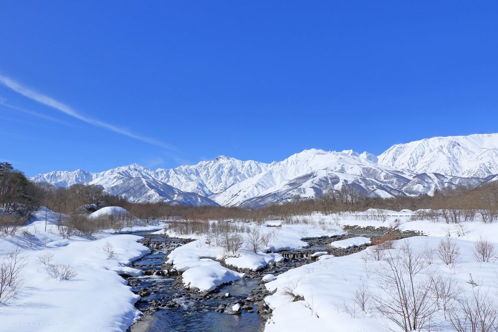 白馬八方尾根スキー場の画像 - 3枚目