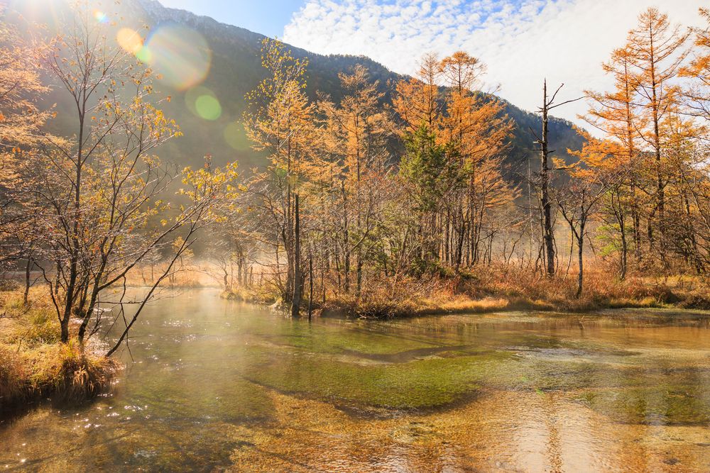 大正池の画像 - 3枚目