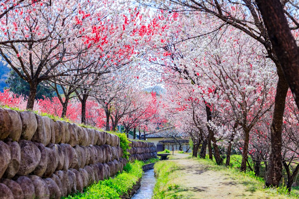 昼神温泉郷の画像 - 2枚目