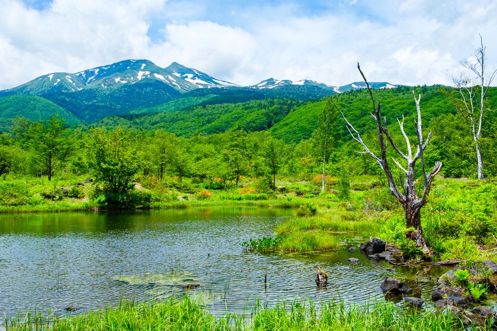 乗鞍高原】の周辺スポット・アクセス・口コミ - Prism Japan