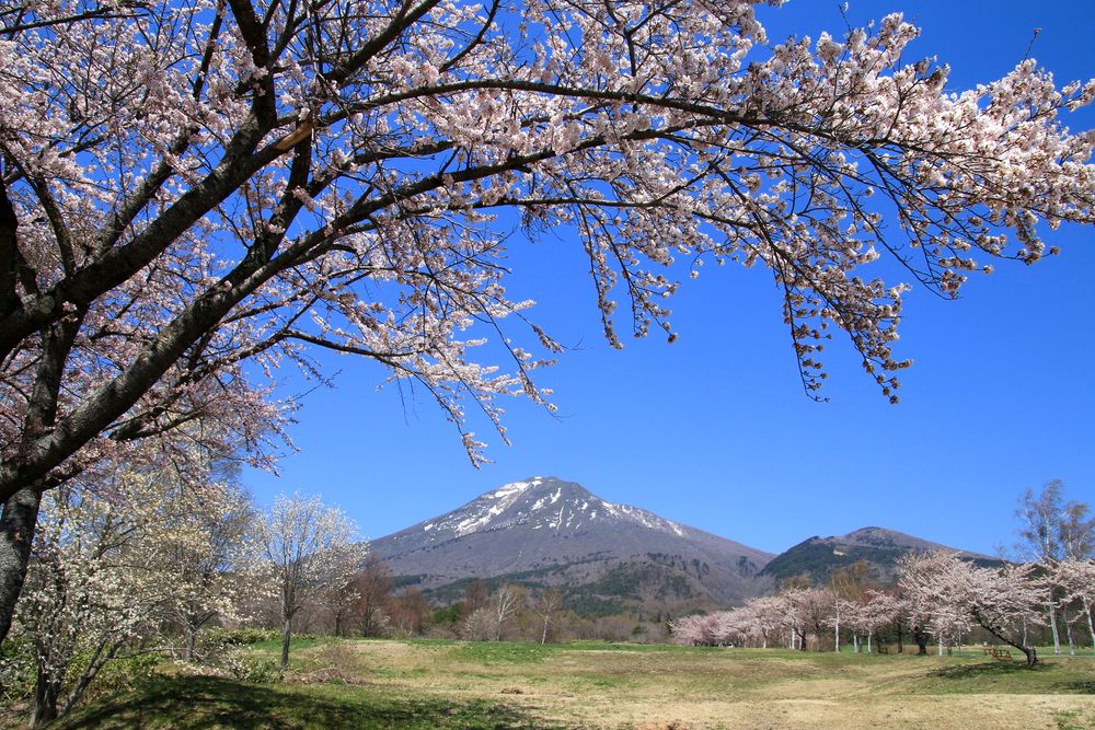 磐梯山の画像 - 2枚目