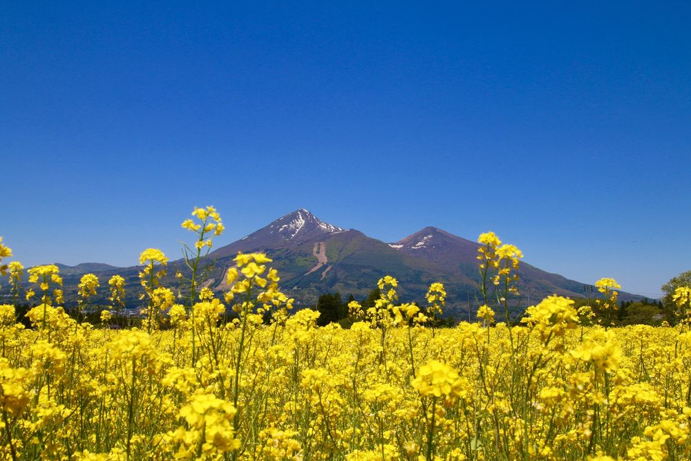 磐梯山の画像 - 4枚目