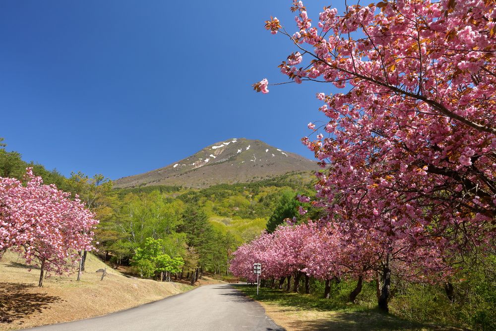 磐梯山の画像 - 5枚目