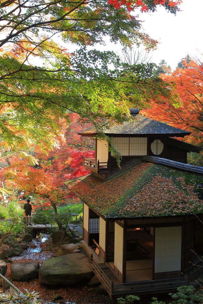 三溪園】の周辺スポット・アクセス・口コミ - Prism Japan