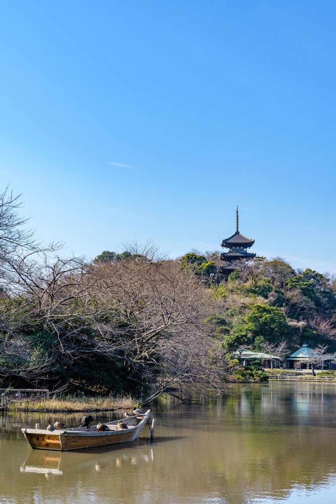 三溪園の画像 - 4枚目