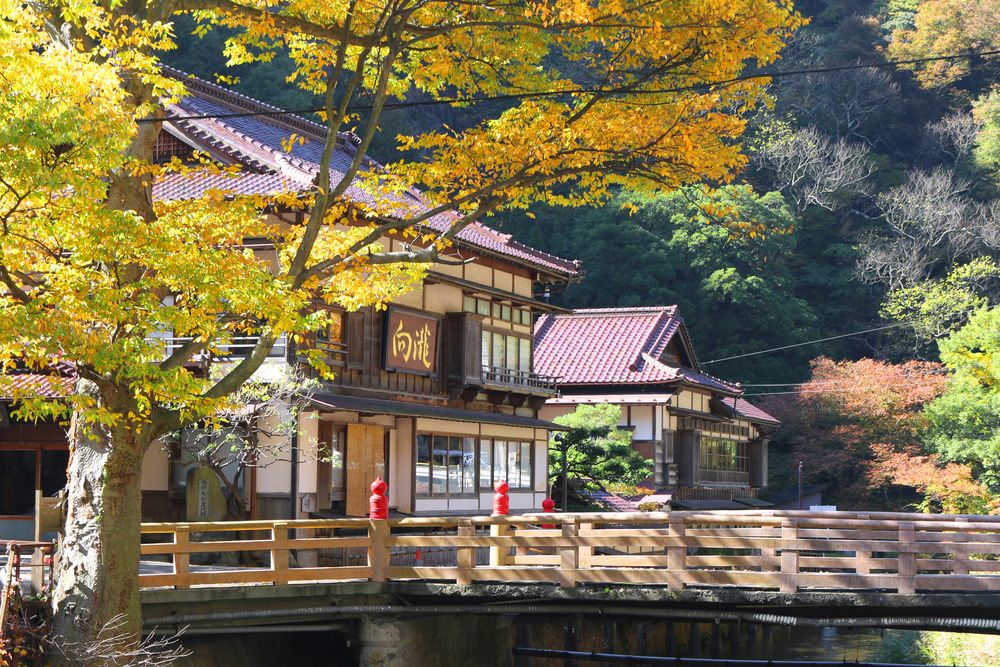 東山温泉の画像 - 2枚目