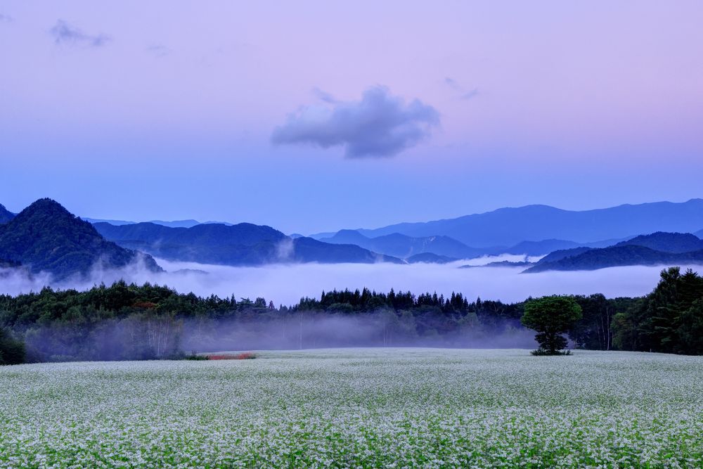 会津高原たかつえスキー場の画像 - 4枚目