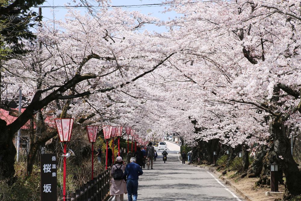 岳温泉の画像 - 3枚目
