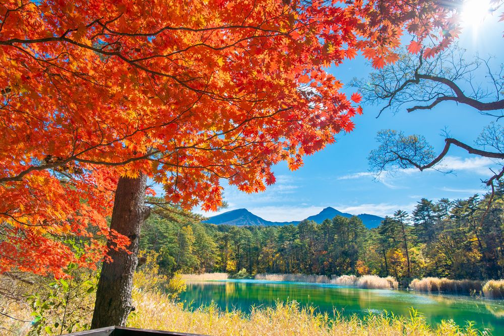五色沼自然探勝路の画像 - 4枚目