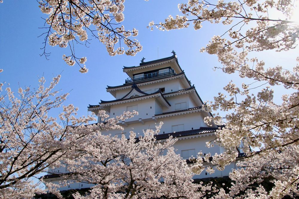 鶴ヶ城郷土博物館の画像 - 3枚目