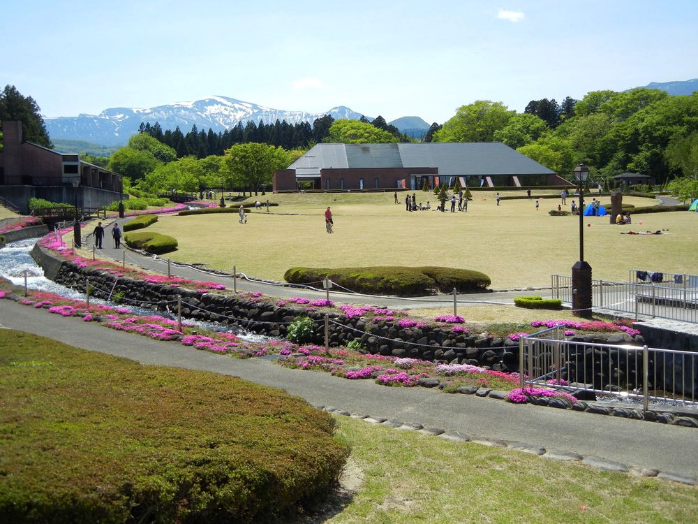 四季の里の画像 - 2枚目