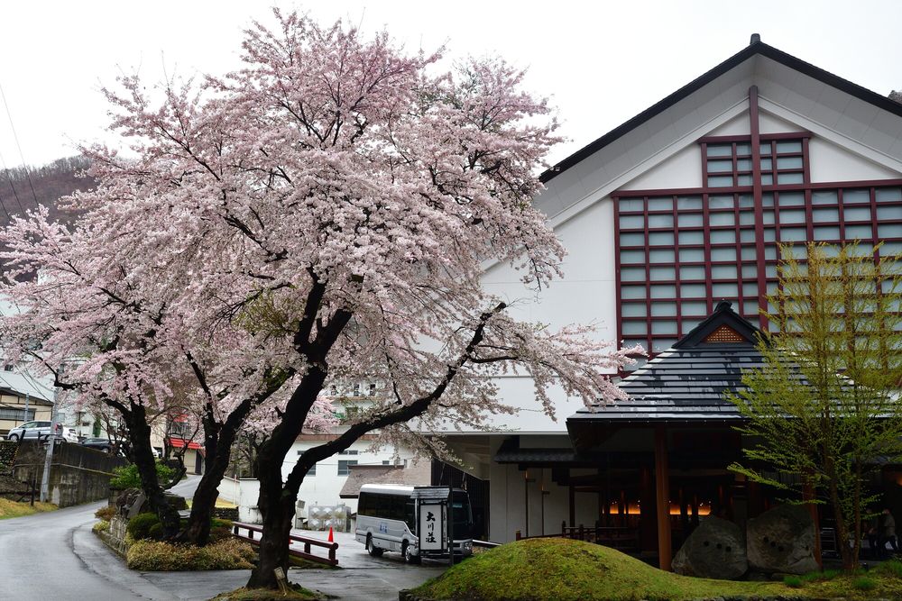 会津芦ノ牧温泉の画像 - 4枚目