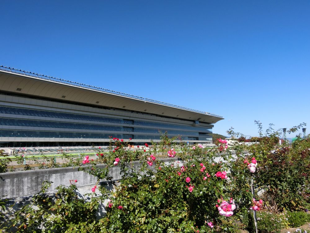 福島競馬場の画像 - 2枚目