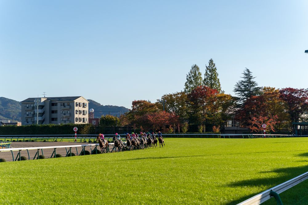 福島競馬場の画像 - 3枚目