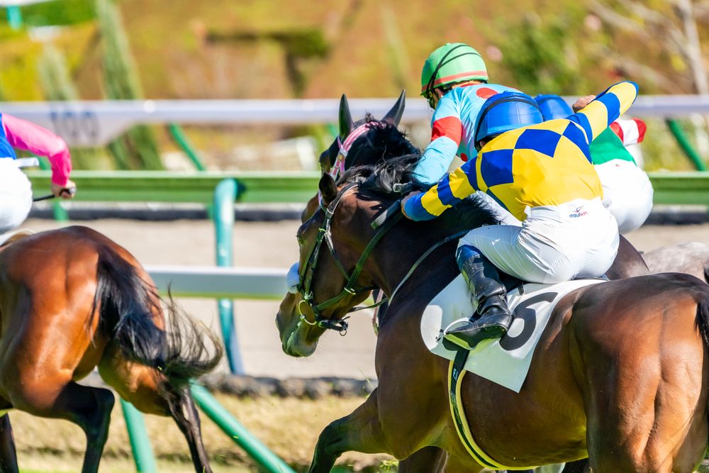 福島競馬場の画像 - 5枚目