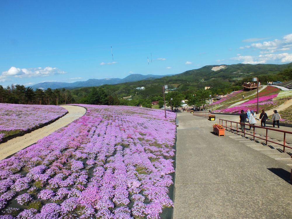 ジュピアランドひらたの画像 - 2枚目