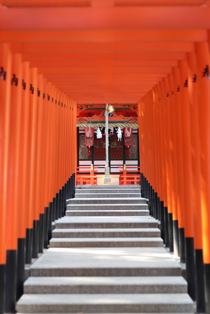 生田神社の画像 - 2枚目