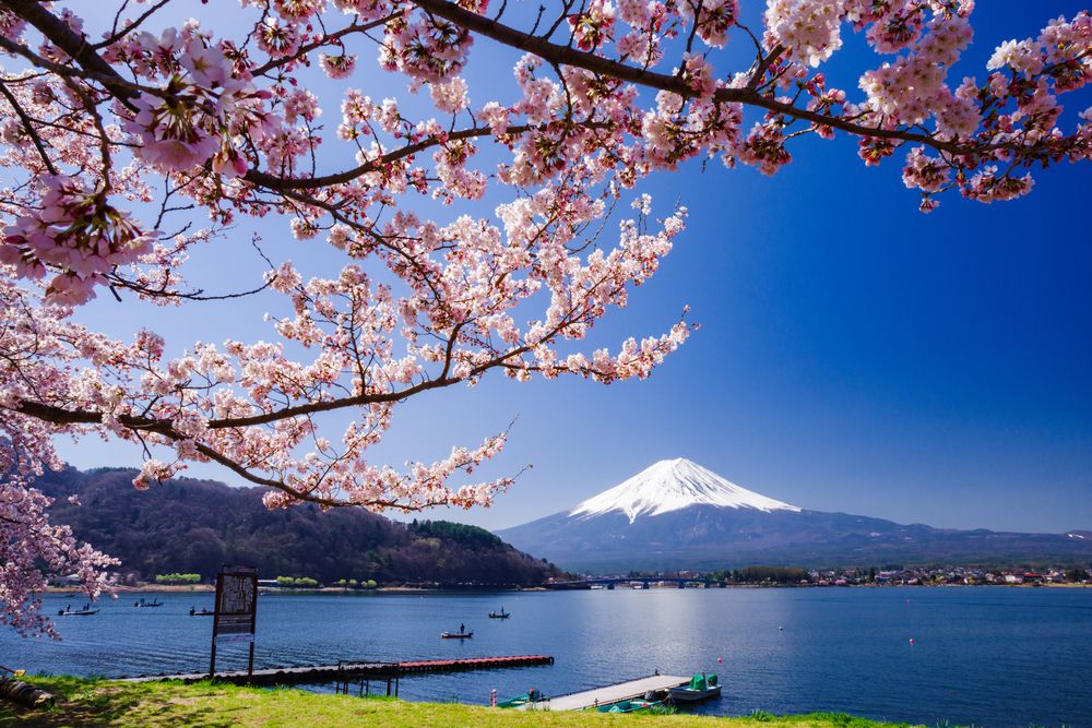 河口湖の画像 - 3枚目